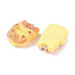 Cute Resin Pendants&nbsp;RESI-V005-005