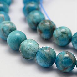 Natural Apatite Beads Strands&nbsp;G-D856-01-10mm