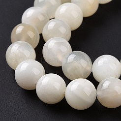 Natural White Moonstone Beads Strands&nbsp;G-F674-08-8mm-01