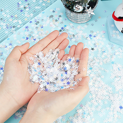 AHADEMAKER 10 Bags 10 Colors Snowflake Plastic Paillette/Sequins Beads&nbsp;MRMJ-GA0001-16