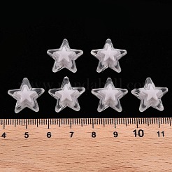 Transparent Acrylic Beads&nbsp;TACR-S152-11A-06
