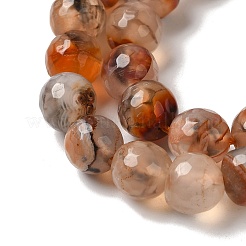 Dyed & Heated Natural Dragon Veins Agate Beads Strands&nbsp;G-P539-A01-08