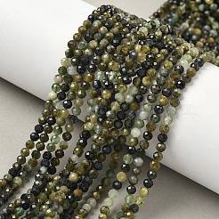 Natural Green Tourmaline Beads Strands&nbsp;G-RM241221-B34