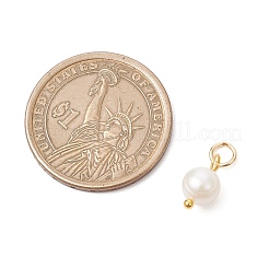 Natural Cultured Freshwater Pearl Two Sides Polished Charms&nbsp;PALLOY-JF04036-01