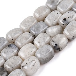 Natural Labradorite Beads Strands&nbsp;G-T138-85