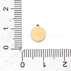 304 Stainless Steel Micro Pave Cubic Zirconia Charms&nbsp;STAS-I356-04G-01
