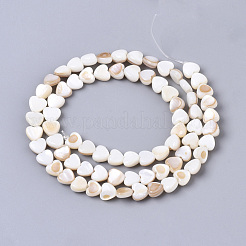Natural Trochid Shell/Trochus Shell Bead Strands&nbsp;SSHEL-N034-66
