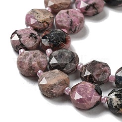 Natural Rhodonite Beads Strands&nbsp;LS-G-NH0004-025