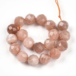 Natural Sunstone Beads Strands&nbsp;G-S345-10mm-23