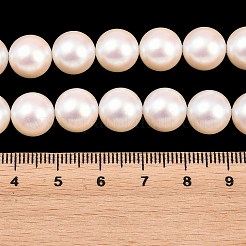 Electroplated Shell Pearl Beads Strands&nbsp;BSHE-C011-01C