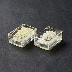 Transparent Acrylic Beads&nbsp;TACR-XCP0001-13