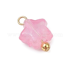 Luminous Acrylic Charms&nbsp;PALLOY-JF03320-01