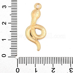 Alloy Enamel Pendants&nbsp;FIND-U031-14G-02