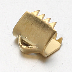 Ion Plating(IP) 304 Stainless Steel Ribbon Clamp Ends&nbsp;X-STAS-F094-18