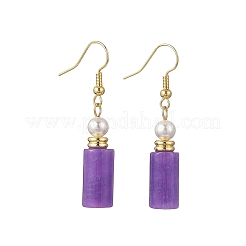 304 Stainless Steel Dangle Earrings&nbsp;EJEW-JE07294