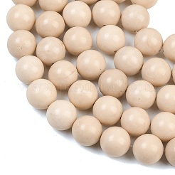 Natural Fossil Beads Strands&nbsp;G-E110-14mm-2