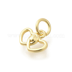 Brass Pendants&nbsp;KK-L225-014G