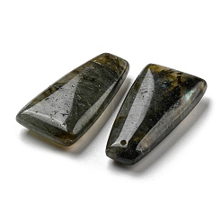 Natural Labradorite Pendants&nbsp;G-M405-11