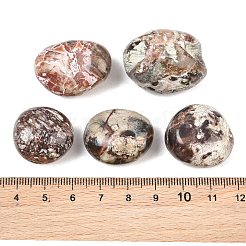 Natural Mexican Lace Agate Crazy Lace Agate Beads&nbsp;GG-CBAD0F6-B07-01