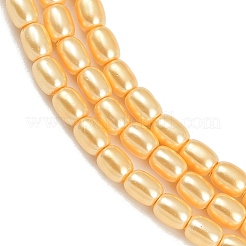 Electroplated Shell Pearl Beads Strands&nbsp;BSHE-H113-06A-09