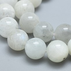 Natural Rainbow Moonstone Beads Strands&nbsp;G-F674-08-8mm