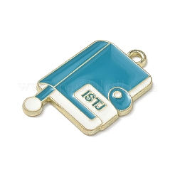 MBTI Theme Alloy Enamel Pendants&nbsp;LS-ENAM-I083-01G-05