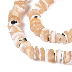 Natural Trochus Shell Beads Strands&nbsp;SSHEL-ZX008-01