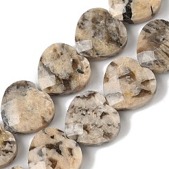 Natural Feldspar Beads Strands&nbsp;G-A309-A02-01
