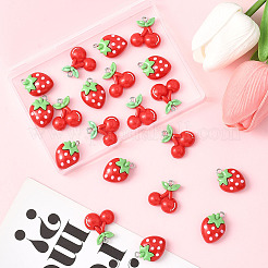 20Pcs 2 Styles Opaque Resin Pendants&nbsp;RESI-SC0036-65