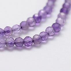 Natural Amethyst Bead Strands&nbsp;G-G663-17-2mm