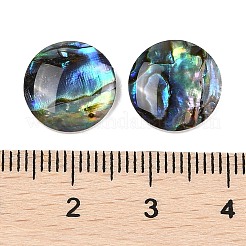 Natural Paua Shell Cabochons&nbsp;SSHEL-I026-20C