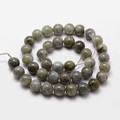 Natural Labradorite Bead Strands&nbsp;X-G-O155-05B-8mm