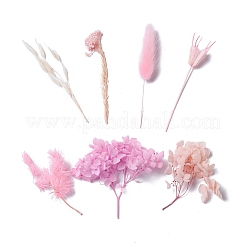 Dried Flowers&nbsp;DIY-D052-09