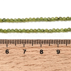Natural Canadian Jade Beads Strands&nbsp;G-G259-D02-2mm
