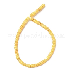 Dyed Natural Freshwater Shell Beads Strands&nbsp;SH-CBA2978-05B