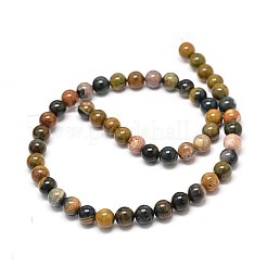 Natural Ocean Jasper Beads Strands&nbsp;G-P075-55-6mm