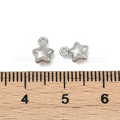 304 Stainless Steel Charms&nbsp;STAS-E500-04P