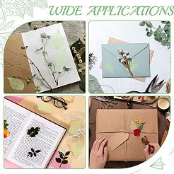 100Pcs Dried Flower Leaf Craft Supplies&nbsp;AJEW-CP0009-41A
