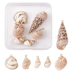 6Pcs 6 Styles Electroplated Natural Spiral Shell Pendants&nbsp;SSHEL-YW0001-06