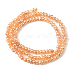Natural Cultured Freshwater Pearl Beads Strands&nbsp;PEAR-L034-13B