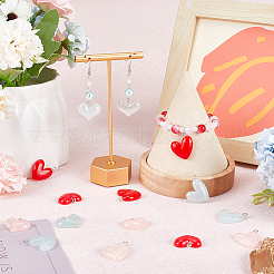 36Pcs 6 Styles Transparent & Opaque Resin Pendants&nbsp;RESI-SC0002-97