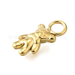 304 Stainless Steel Charms&nbsp;LS-STAS-H233-19G