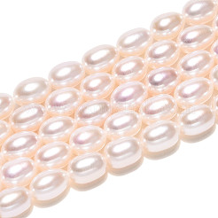 Natural Cultured Freshwater Pearl Beads Strands&nbsp;PEAR-N024-08