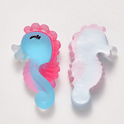 Translucent Frosted Resin Cabochons&nbsp;CRES-N022-10