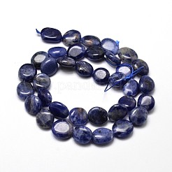 Natural Sodalite Nuggets Beads Strands&nbsp;G-J336-09