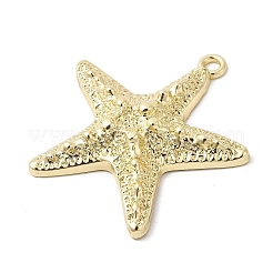 Alloy Big Pendants&nbsp;X-FIND-H055-13G
