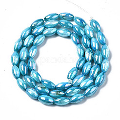 Freshwater Shell Beads Strands&nbsp;SHEL-N026-141C