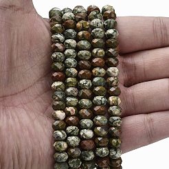 Natural Rhyolite Jasper Beads Strands&nbsp;G-Z111-A14-01