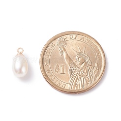 Natural Pearl Charms&nbsp;PALLOY-JF01281-02