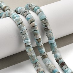 Natural Larimar Beads Strands&nbsp;G-Q024-B03-04